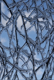 ice lattice