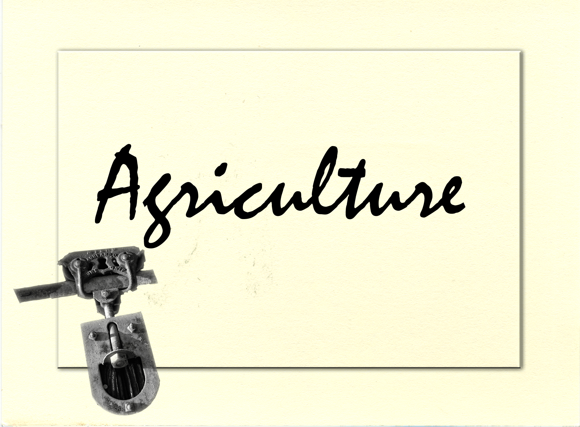 agriculture