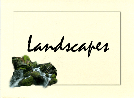 landscape button