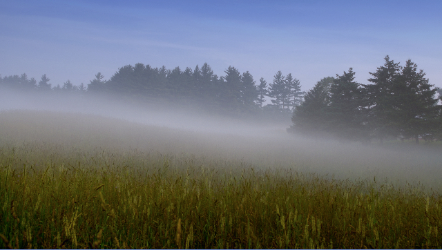 fog over Nissitissit Meadow
