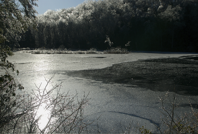 Heald Pond, Pepperell