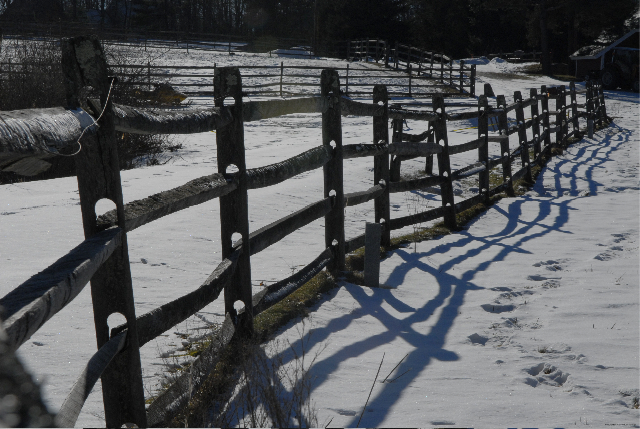 shadows on snow