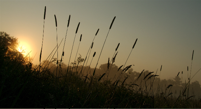 sunrise at Nissitissit Meadow