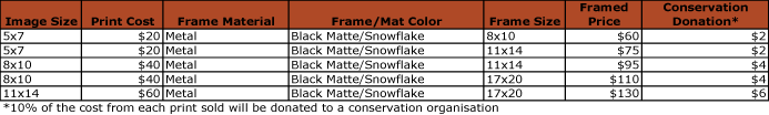 metal frame cost